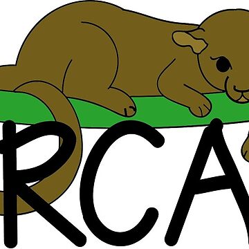Artwork thumbnail, ARCAS by ARCASrescate
