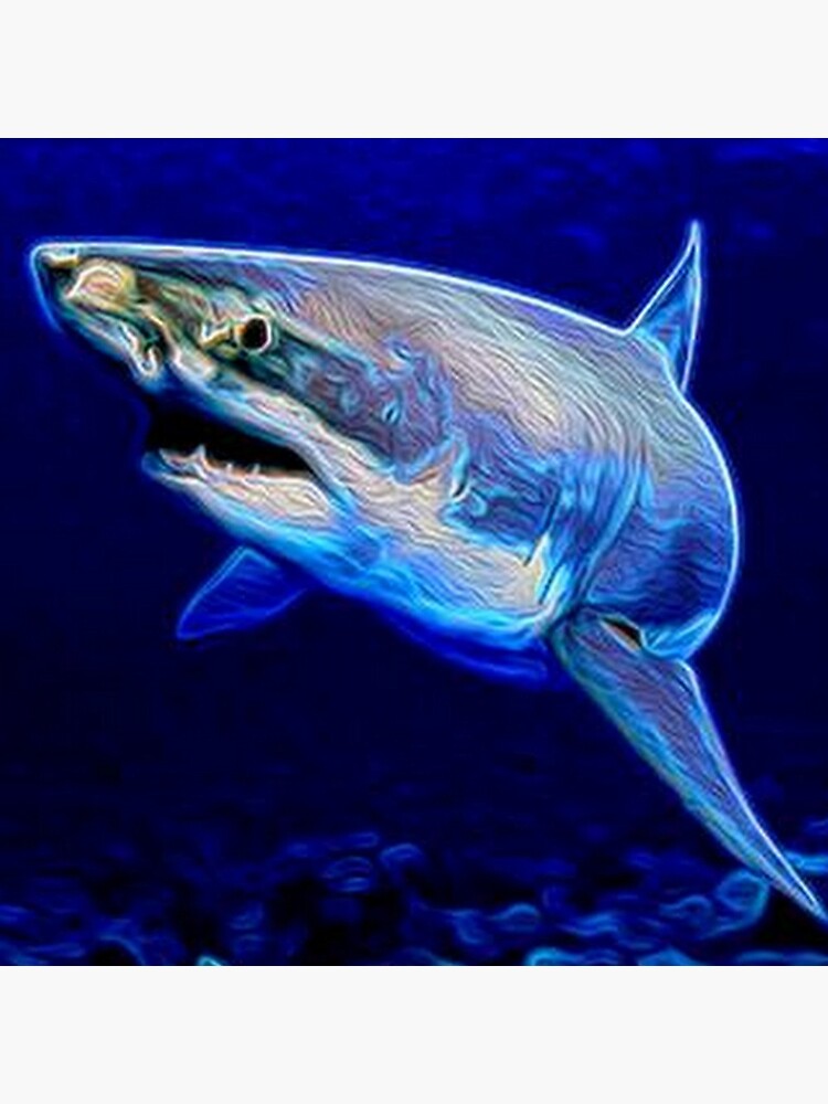 SHARK by michaeltodd