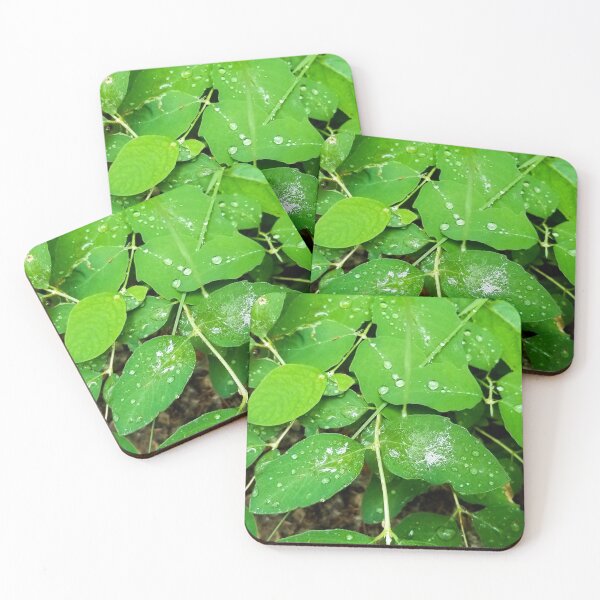 Item preview, Leavers After the Rain designed and sold by theblueofmyeye.