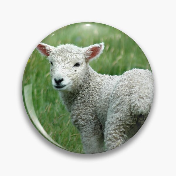 Item preview, Did You Say Mint Sauce? designed and sold by Jeremy Taylor.