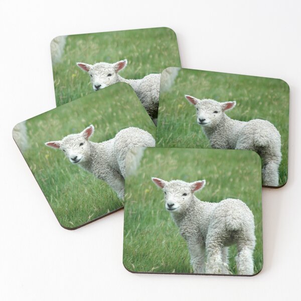 Item preview, Did You Say Mint Sauce? designed and sold by Jeremy Taylor.