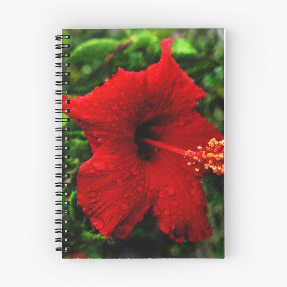 Vista previa del artículo con la obra «Cuaderno de espiral», diseñado y vendido por michaelasamples.