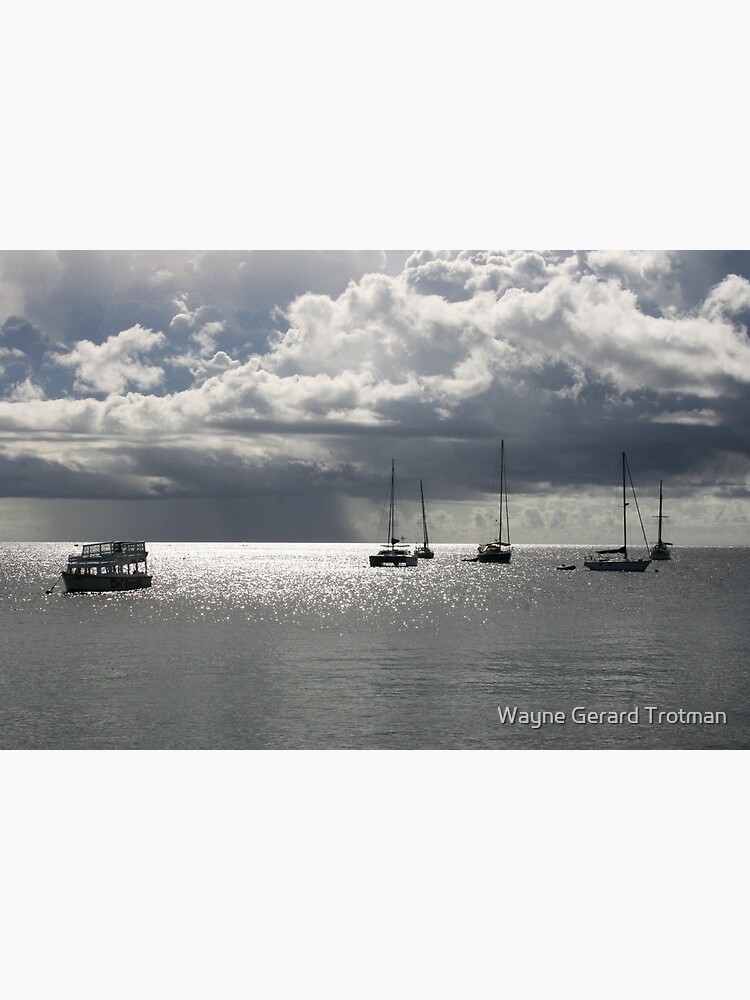 Boats at Store Bay, Tobago by redmoondragon