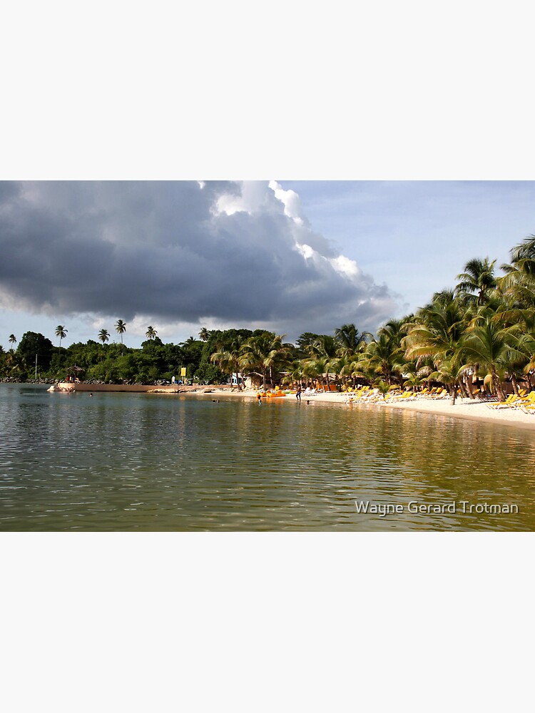 Coconut Bay, Tobago by redmoondragon