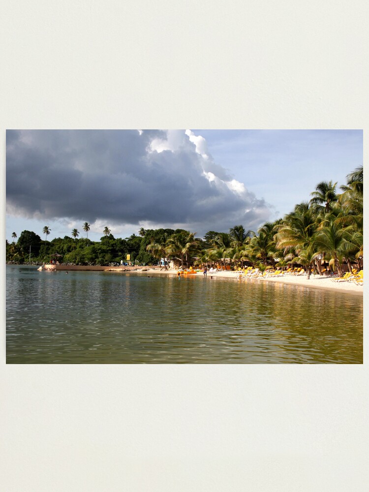 Alternate view of Coconut Bay, Tobago Photographic Print