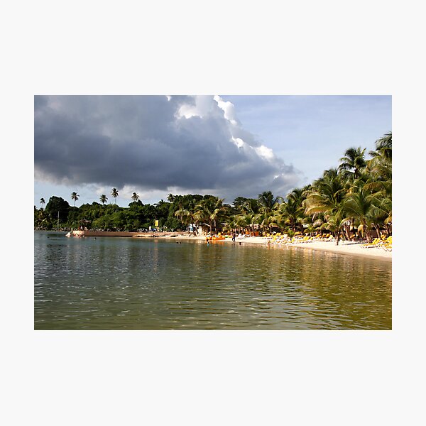 Coconut Bay, Tobago Photographic Print