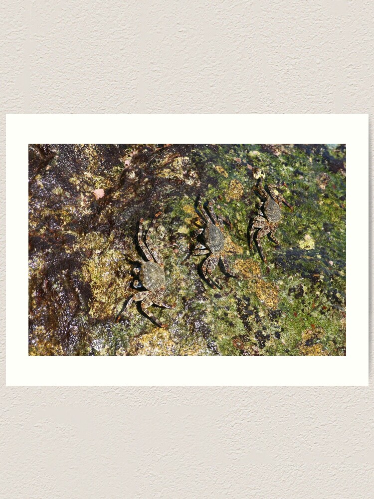 Alternate view of Perfectly Camouflaged Art Print