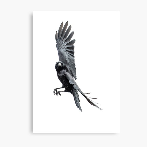 "You Called?" Metal Print