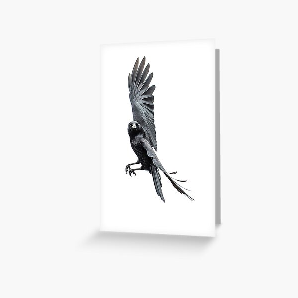 "You Called?" Greeting Card
