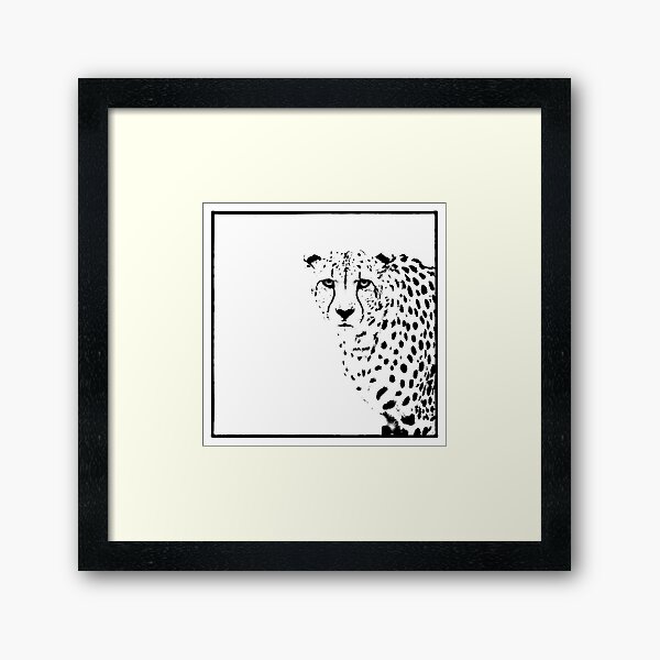 Cheetah Framed Art Print