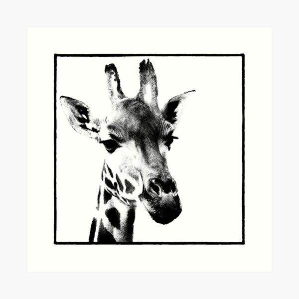 Gentle Giraffe Art Print