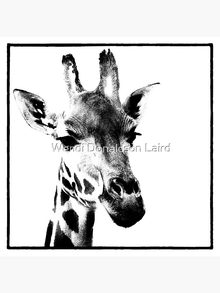 Gentle Giraffe by wdonaldson