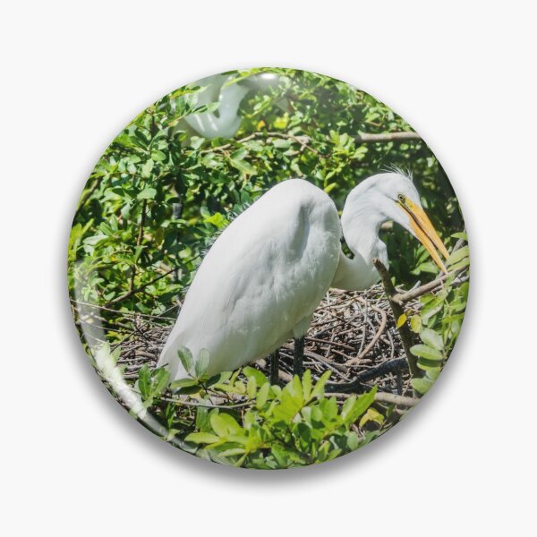 Item preview, Nesting Great egret designed and sold by KensLensDesigns.