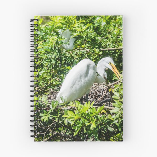 Item preview, Nesting Great egret designed and sold by KensLensDesigns.