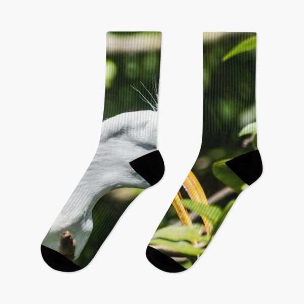 Item preview, Great white egret in wildlife preserve designed and sold by KensLensDesigns.
