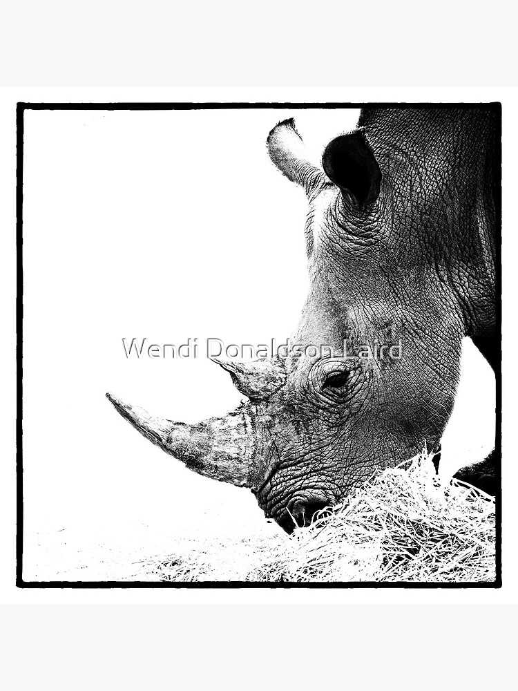 Rhino by wdonaldson