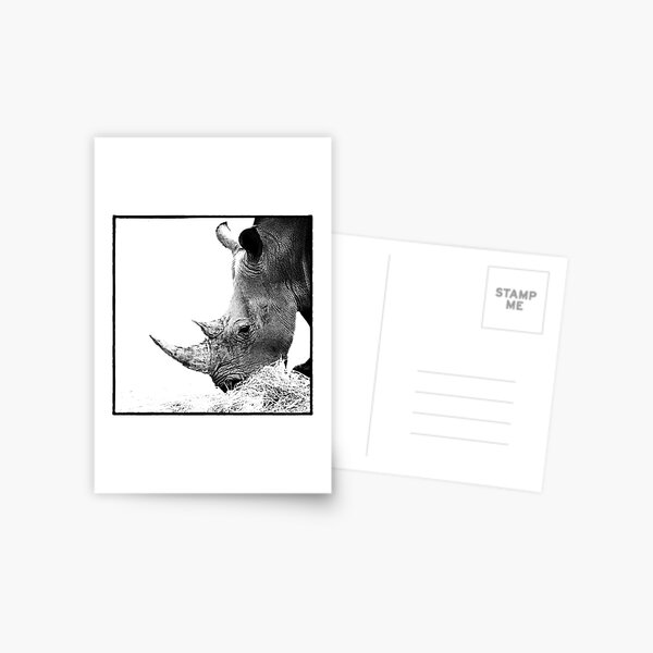 Rhino Postcard