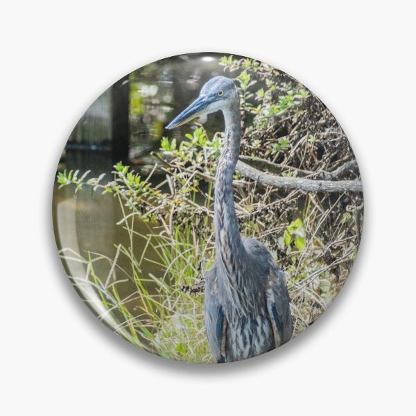 Item preview, Great Blue Heron designed and sold by KensLensDesigns.