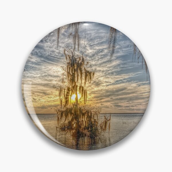 Aperçu de l'œuvre Silencieux solitaire-cyprès dans un lac Sunset lite créée et vendue par Steven Kight.