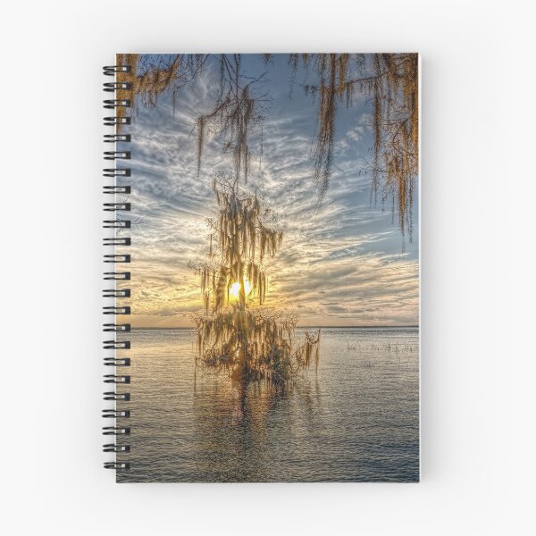 Item preview, Silent Solitude-Cypress tree in a Sunset lite lake designed and sold by Steven Kight.