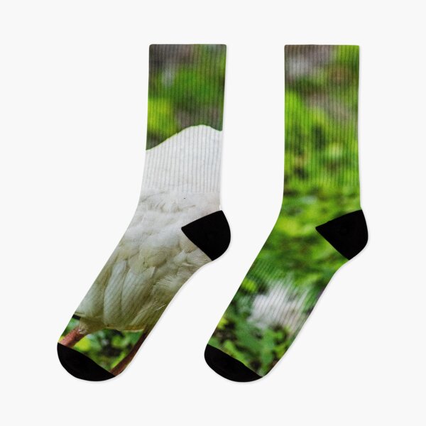 Item preview, The King American white ibis designed and sold by KensLensDesigns.