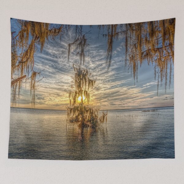 Item preview, Silent Solitude-Cypress tree in a Sunset lite lake designed and sold by Steven Kight.