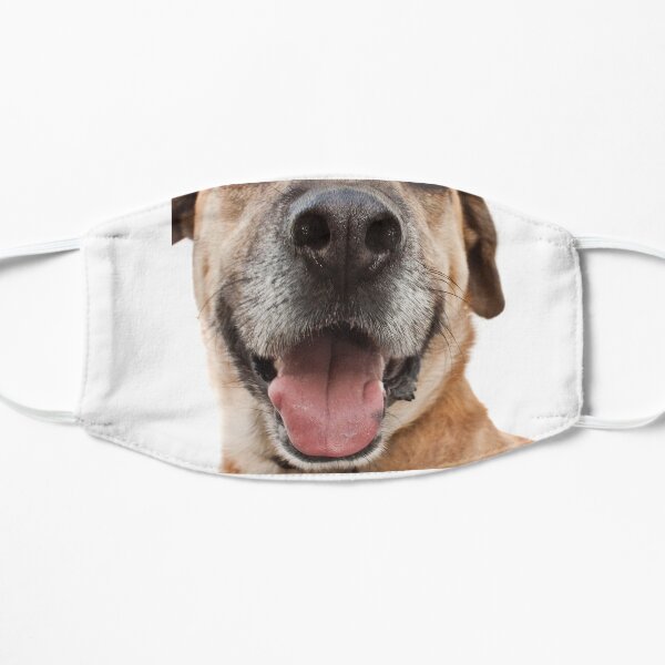 The ROSCOE Mask