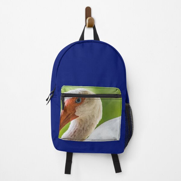 Item preview, More American white ibis designed and sold by KensLensDesigns.