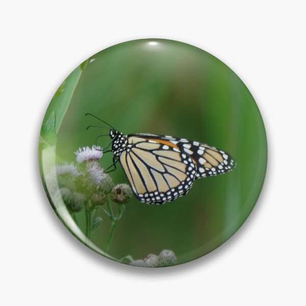 Item preview, Monarch butterfly designed and sold by rodmacpherson.