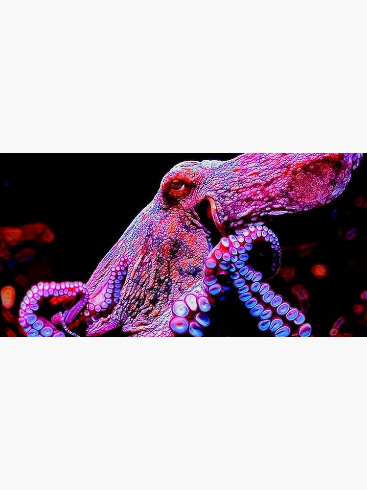 OCTOPUS by michaeltodd