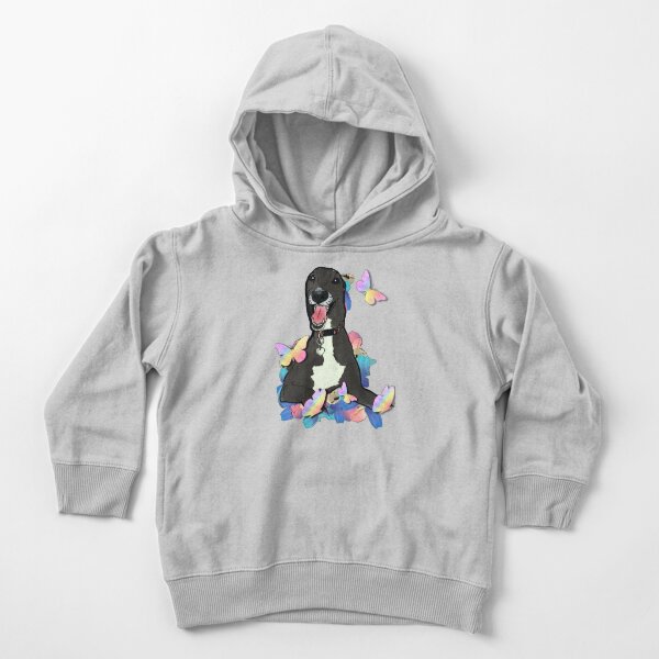 Echo Toddler Pullover Hoodie
