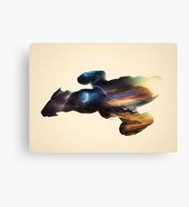 Serenity Canvas Print