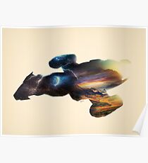 Serenity Poster