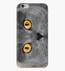 Vinilo o funda para iPhone Dante 1