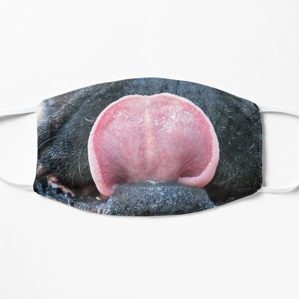 The DEXTER Mask