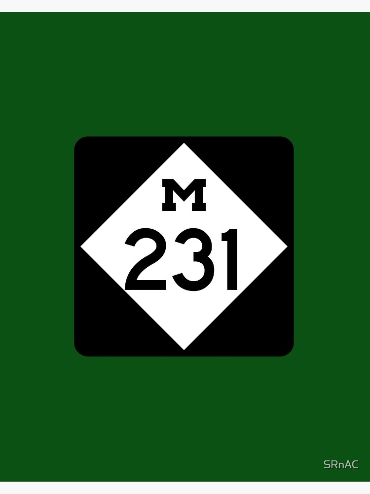 Michigan State Route 231 (Area Code 231) | Art Board Print