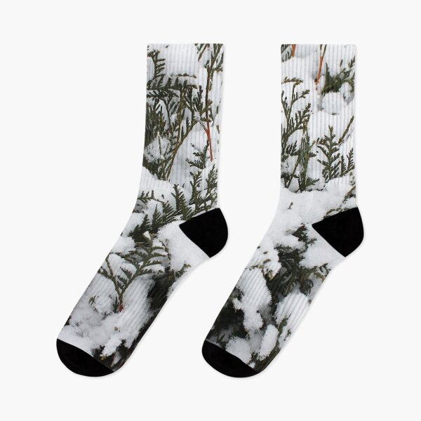 Item preview, Cedar in the Snow designed and sold by Susie Kramer.