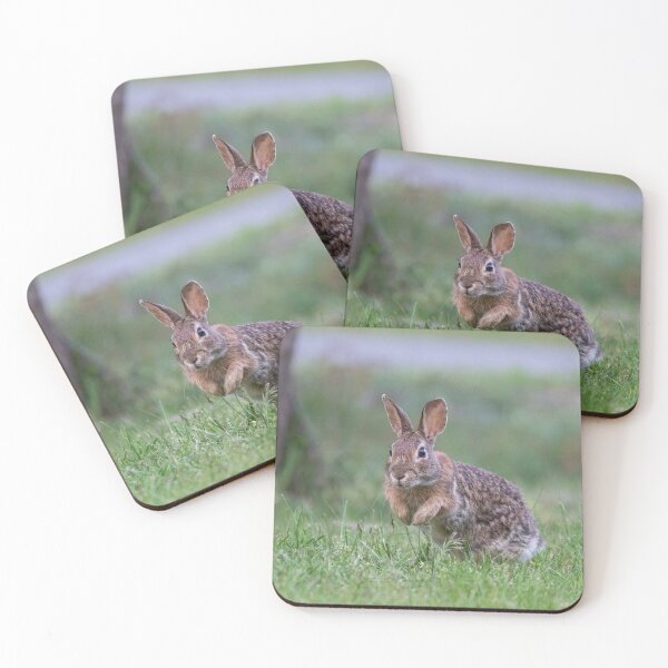 Item preview, Eastern Cottontail designed and sold by suburbanwilds.