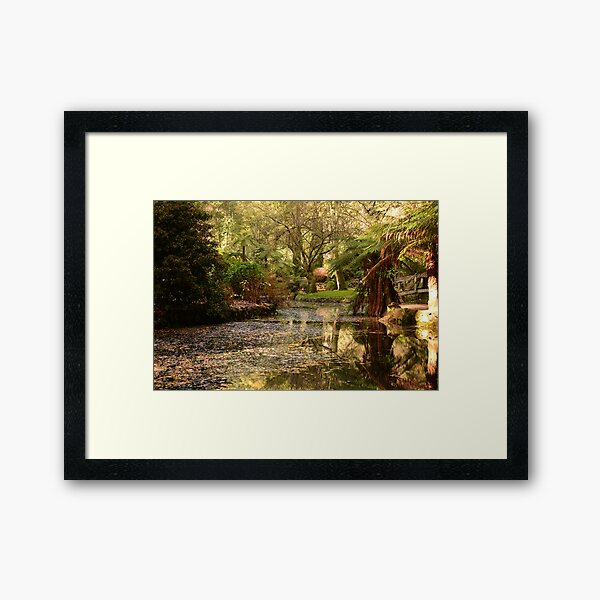 Item preview, alfred nicholas memorial garden june 2020 designed and sold by shane price.