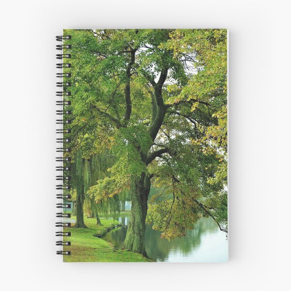 Item preview, Fall time in the Village designed and sold by floofpictures.