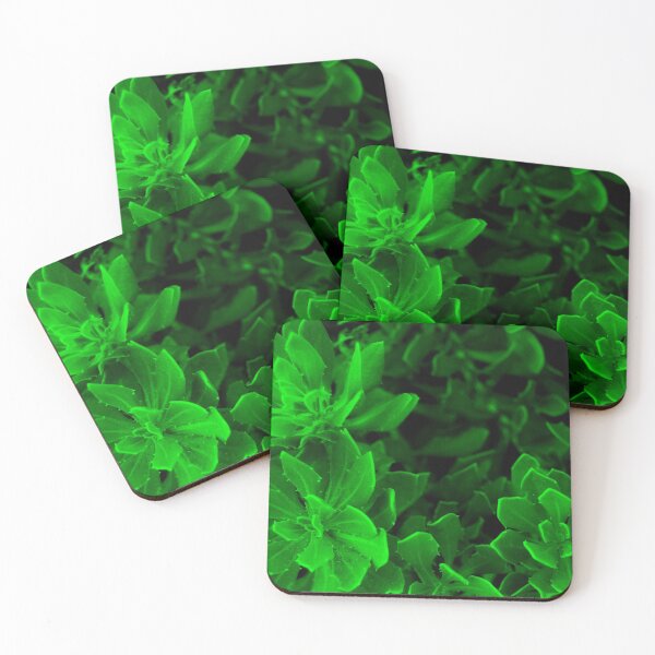 Item preview, Neon Nature - succulents designed and sold by xantilly.