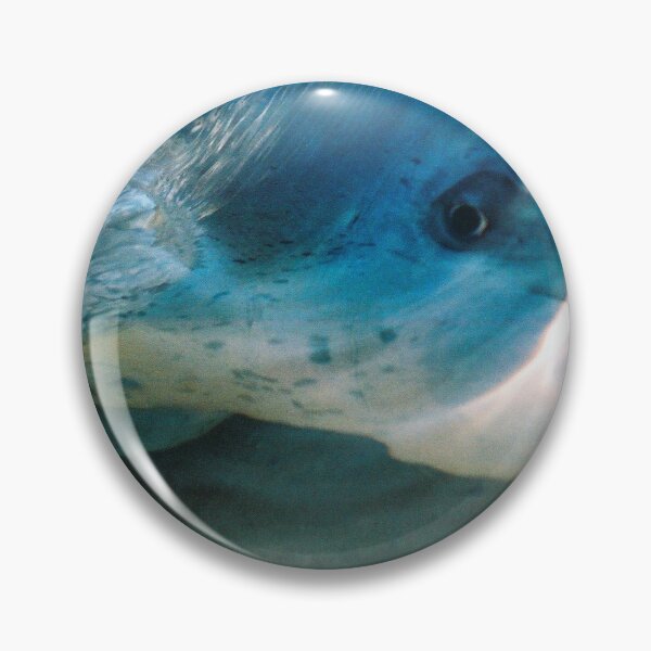 Item preview, The Dolphin - Monkey Mia, Western Australia. designed and sold by Marilyn Harris.
