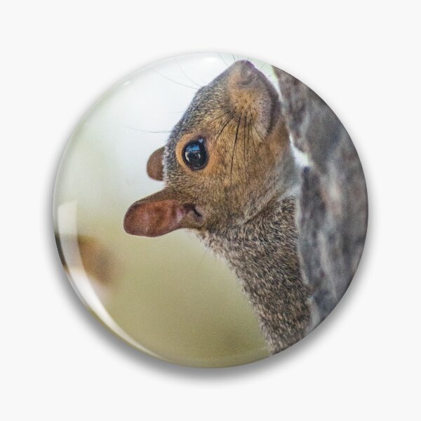 Item preview, Squirrel 2 designed and sold by KensLensDesigns.