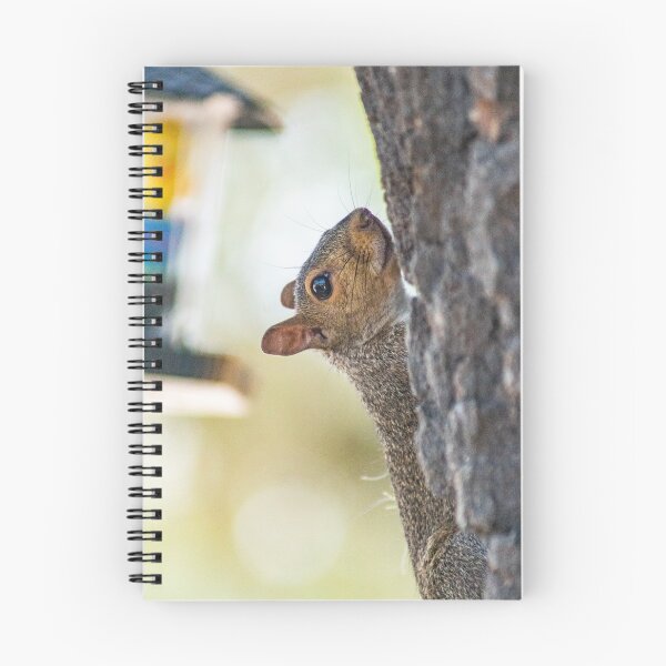 Item preview, Squirrel 2 designed and sold by KensLensDesigns.