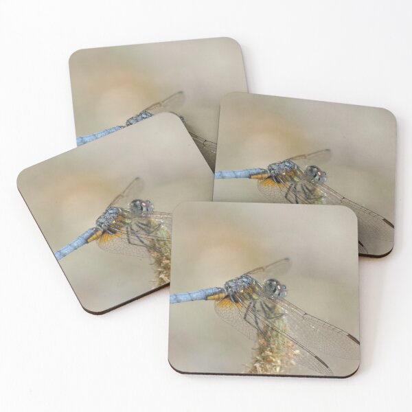 Item preview, Blue Dasher Dragonfly designed and sold by rodmacpherson.