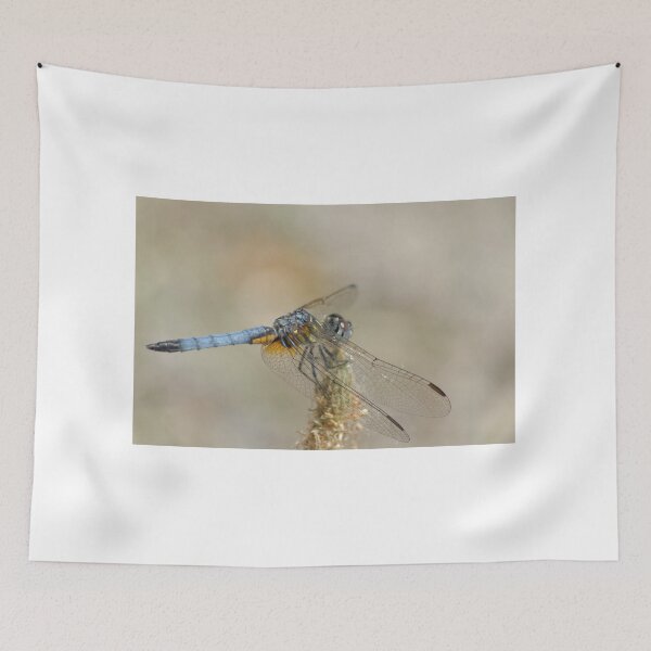 Item preview, Blue Dasher Dragonfly designed and sold by rodmacpherson.