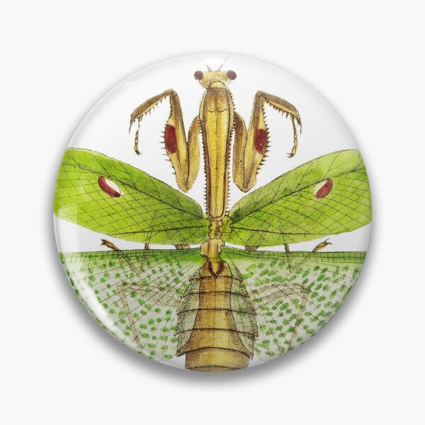 Item preview, Idol Mantis designed and sold by bigted9.