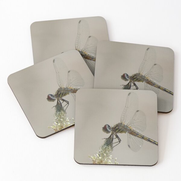 Item preview, Blue Dasher Dragonfly designed and sold by rodmacpherson.