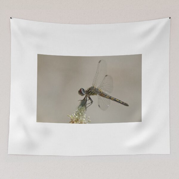 Item preview, Blue Dasher Dragonfly designed and sold by rodmacpherson.