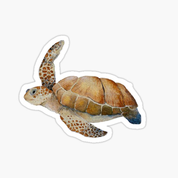 Sea Turtle Sticker